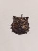 Ciondolo Gatto Dionisia in argento 925° brunito nero