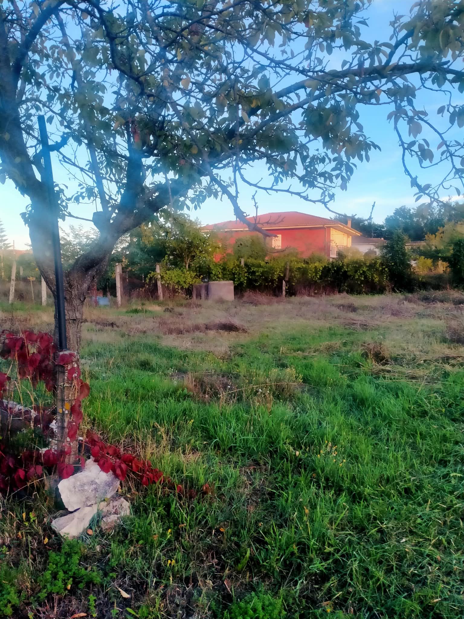 Sezze unifamiliare zona Colli