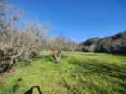 Latina Via Nascosa, villa unifamiliare immersa nel verde
